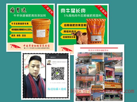 4、 Anglo-Meier 肉牛專(zhuān)用預(yù)混料：什么飼料對(duì)牛有益