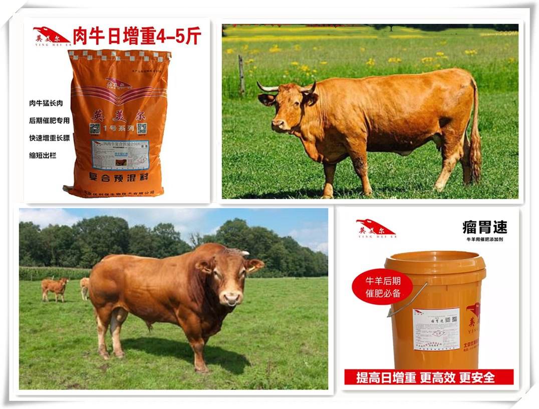 4、中國(guó)最好的牛羊飼料是哪家
