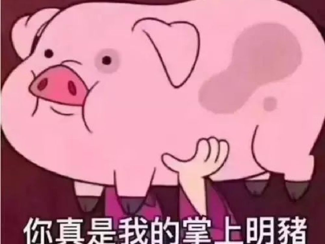 3、歲月是豬的飼料，我已經(jīng)吃夠了。下一句該說什么