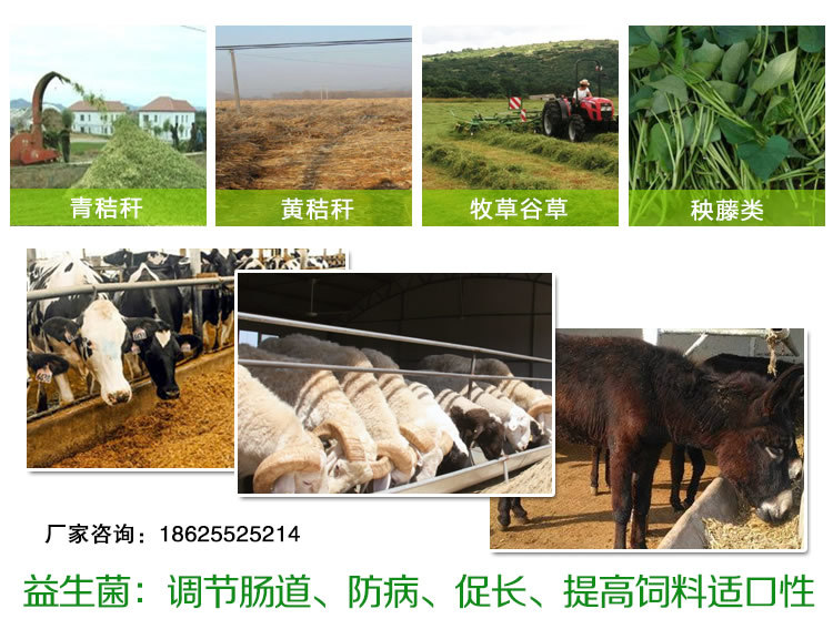 4、中國(guó)十大名牌牛飼料