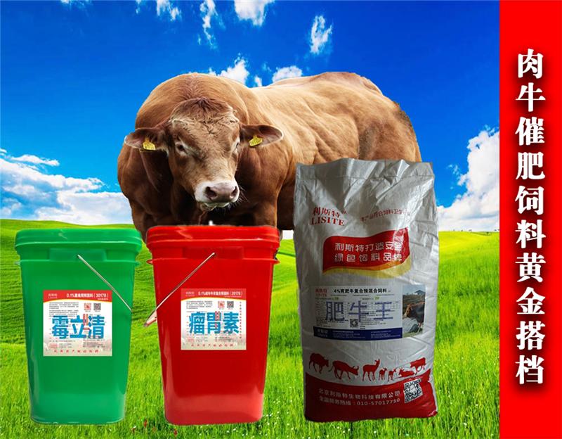 1、育肥牛如何長(zhǎng)得更快？紅糖飼喂奶牛具有增肥作用