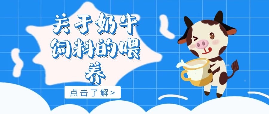 3、奶牛常用的飼料有哪些？ 