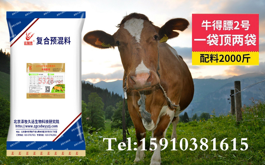 1、育肥牛飼料配方