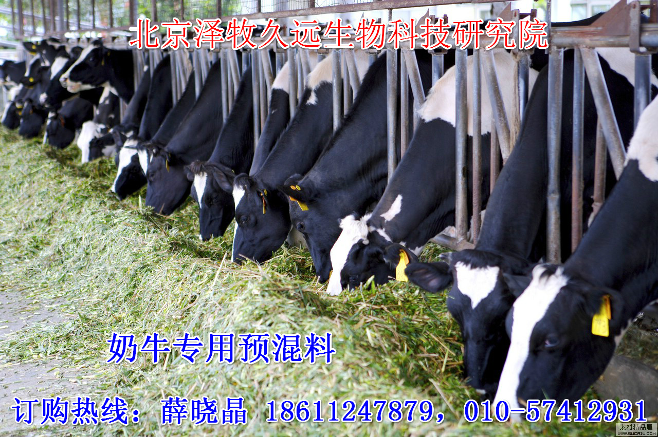 2、奶牛飼料廠有哪些？