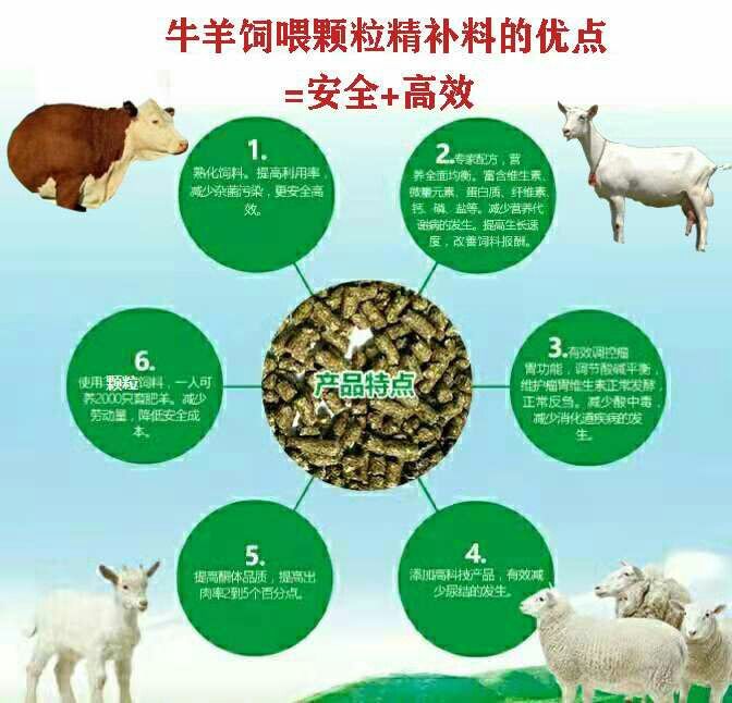 二、維生素、微量元素―――添加劑預(yù)混料